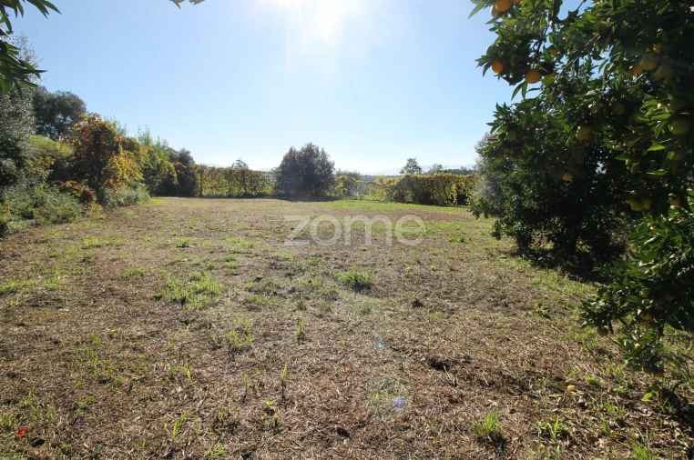 Terreno para Venda em Goães Foto 35
