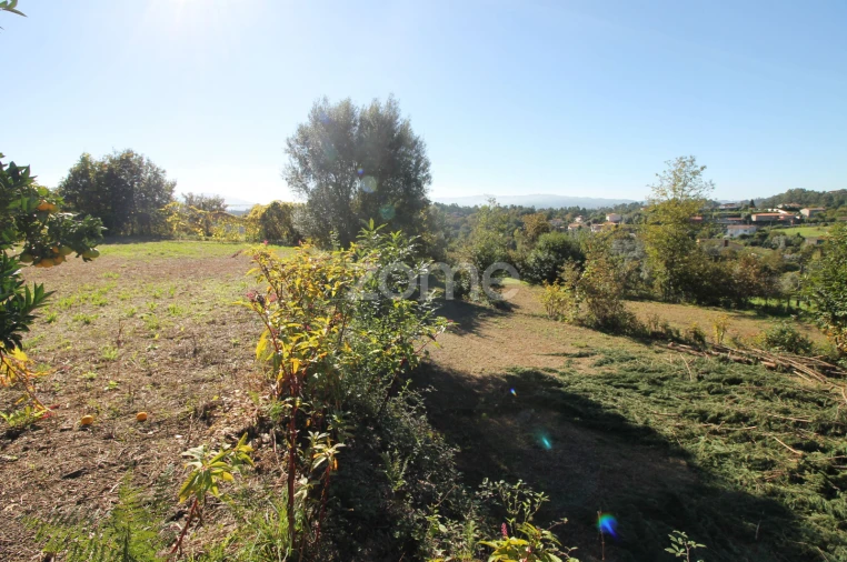 Terreno para Venda em Goães Foto 39