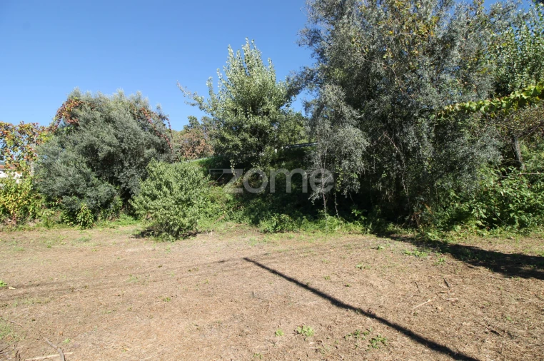 Terreno para Venda em Goães Foto 41