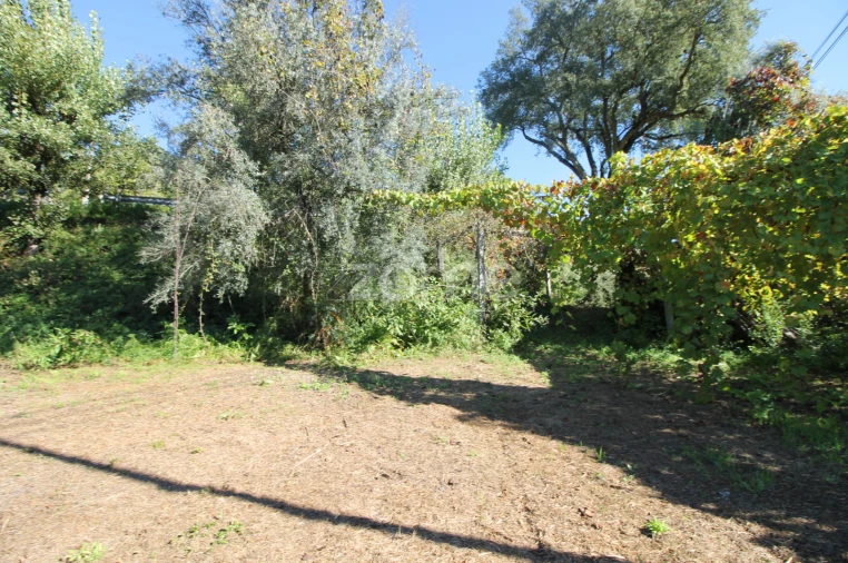 Terreno para Venda em Goães Foto 42