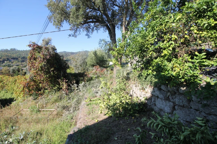 Terreno para Venda em Goães Foto 44