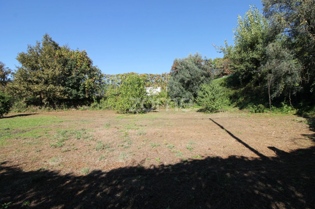 Terreno para Venda em Goães Foto 5