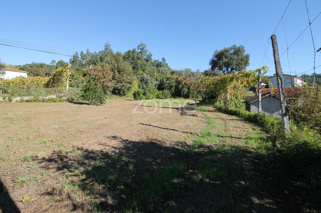 Terreno para Venda em Goães Foto 6