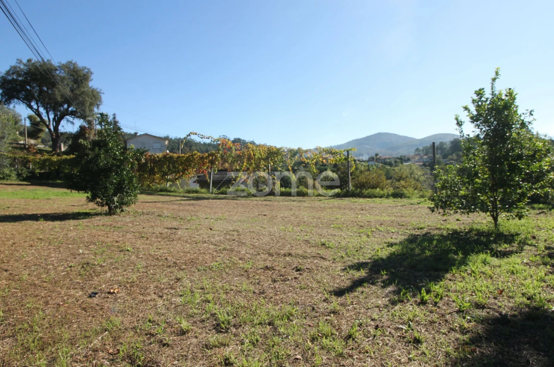 Terreno para Venda em Goães Foto 7