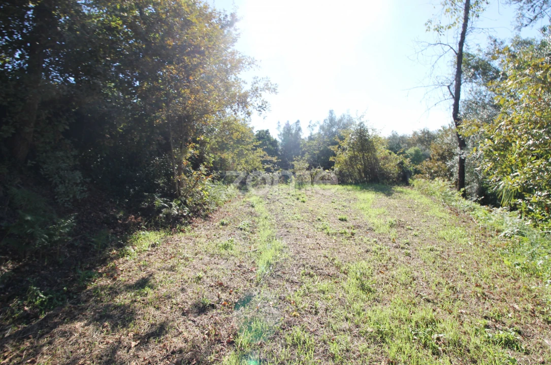 Terreno para Venda em Goães Foto 11