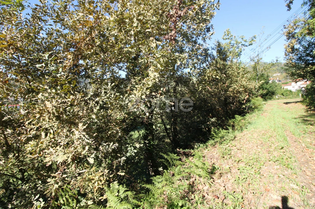 Terreno para Venda em Goães Foto 13