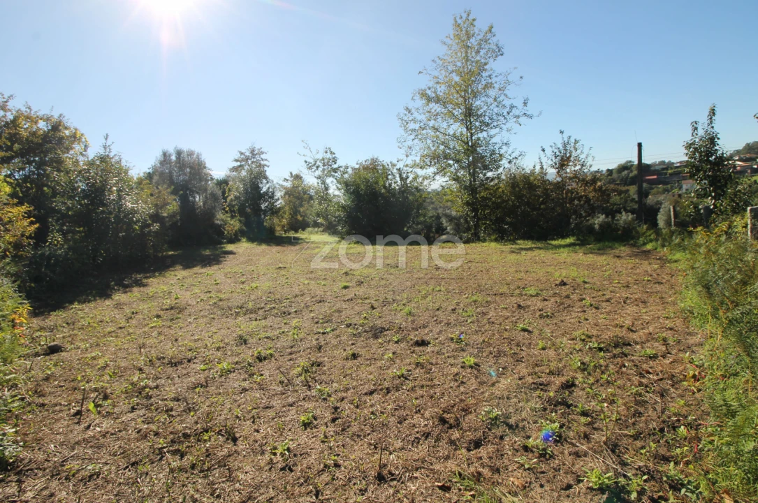 Terreno para Venda em Goães Foto 17