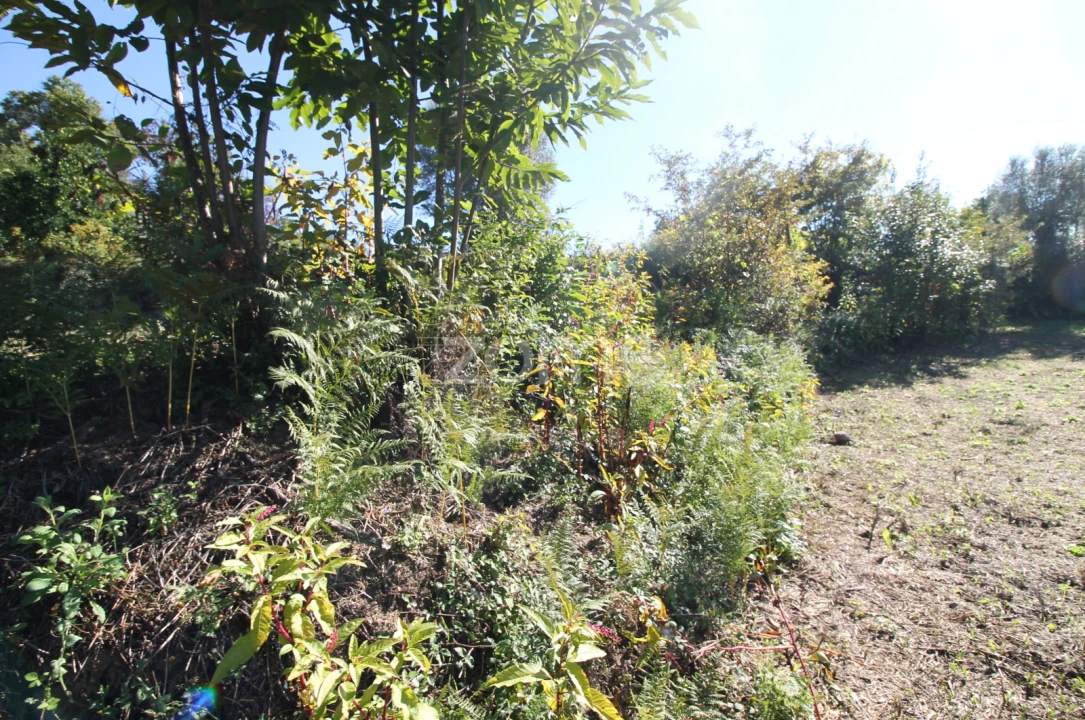 Terreno para Venda em Goães Foto 19