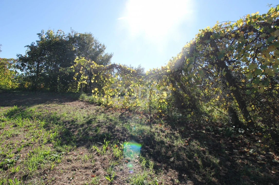 Terreno para Venda em Goães Foto 28