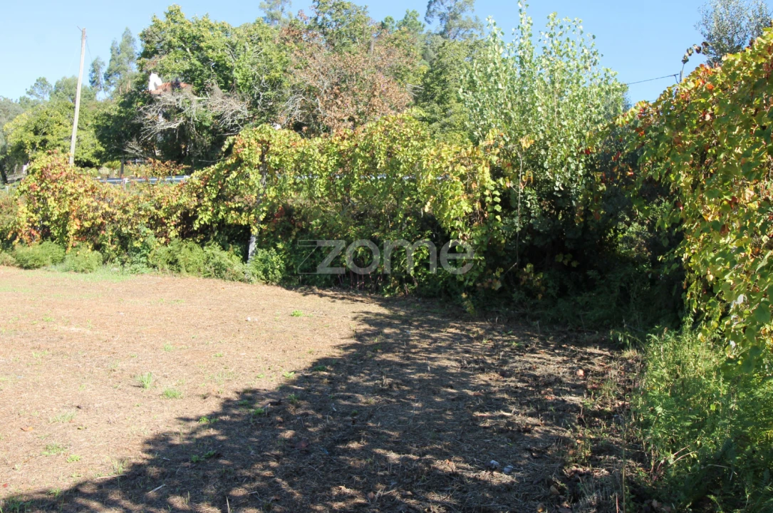 Terreno para Venda em Goães Foto 8