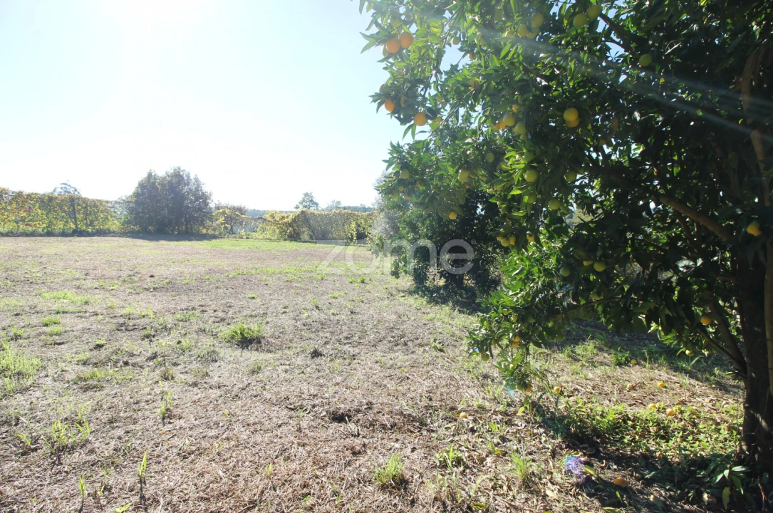 Terreno para Venda em Goães Foto 36
