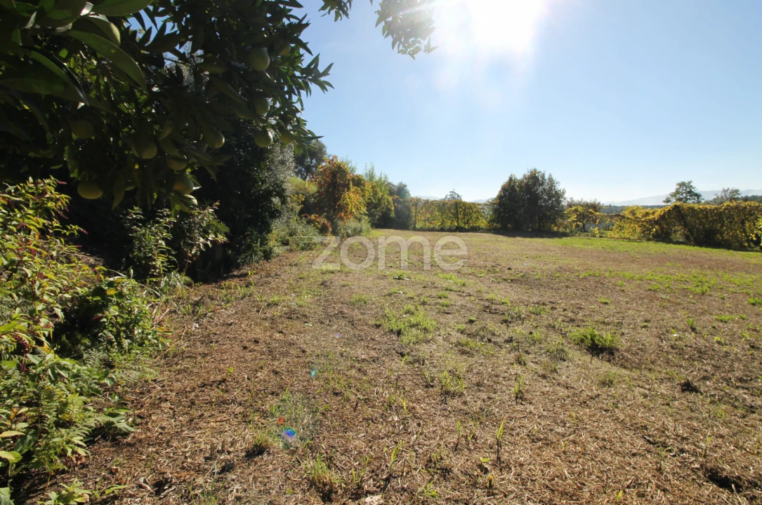 Terreno para Venda em Goães Foto 37