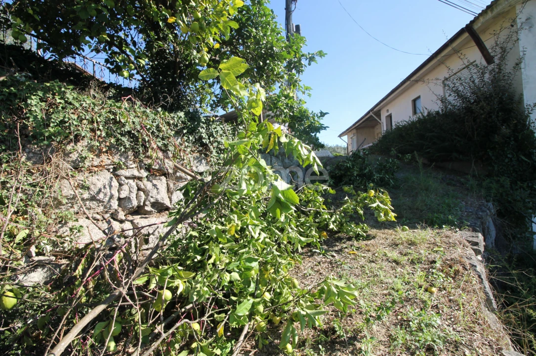 Terreno para Venda em Goães Foto 43