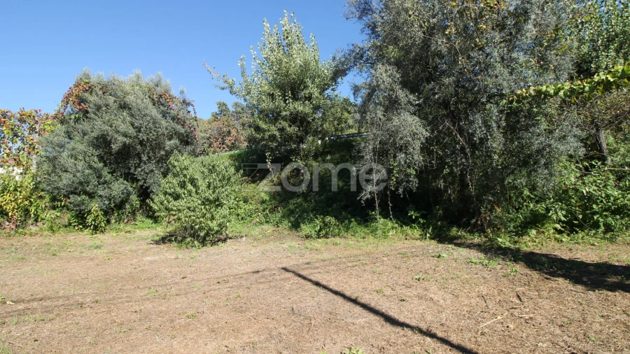 Terreno para Venda em Goães