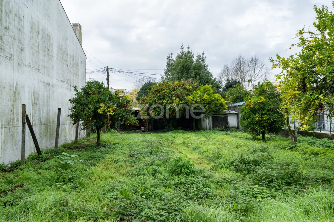 Terreno para Venda em Braga (São José de São Lázaro e São João do Souto) Foto 14