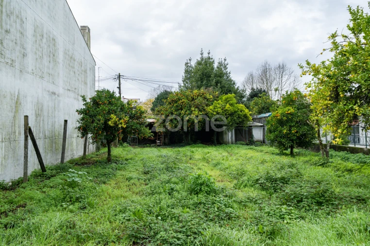 Terreno para Venda em Braga (São José de São Lázaro e São João do Souto) Foto 14
