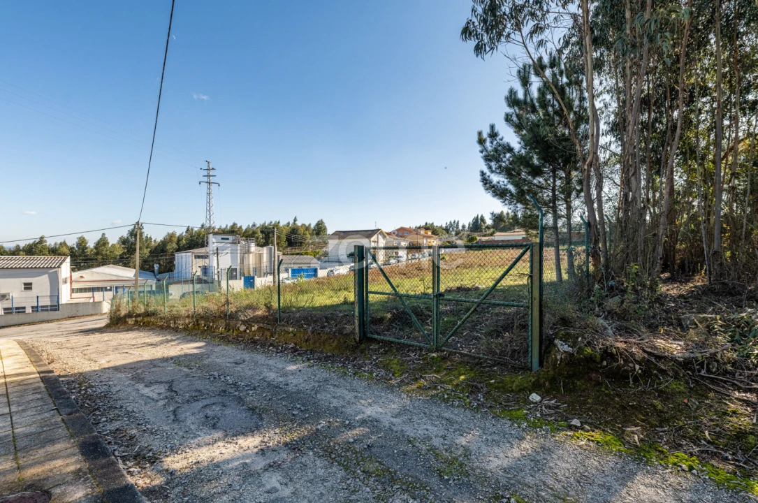 Terreno para Venda em Pedroso e Seixezelo Foto 16