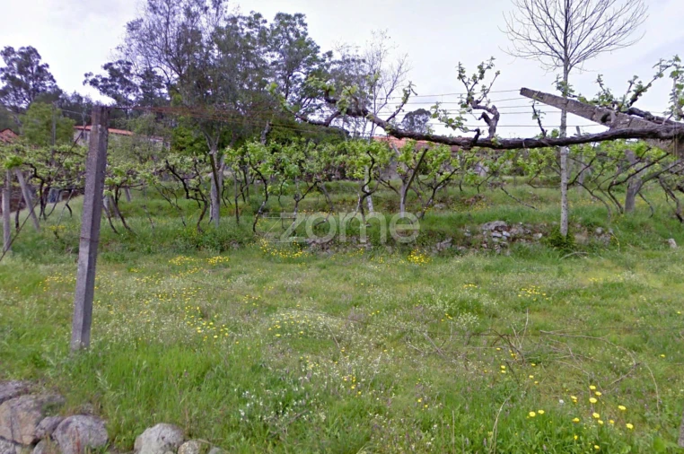Quinta T3 para Venda em Vila Boa de Quires e Maureles Foto 7