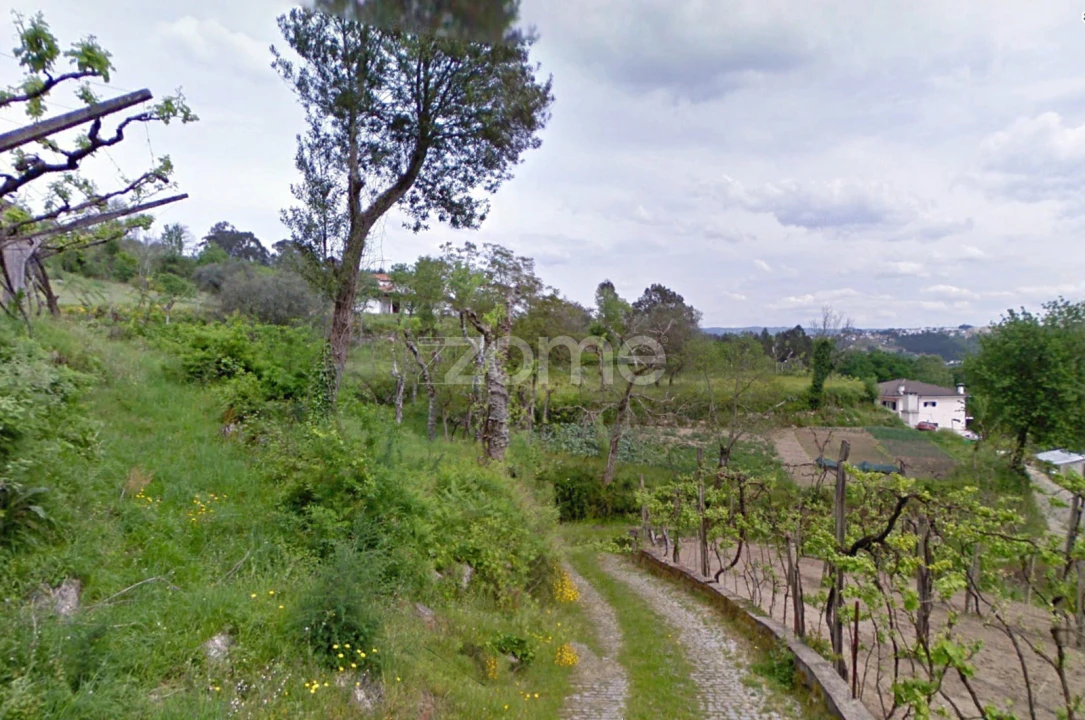 Quinta T3 para Venda em Vila Boa de Quires e Maureles Foto 8