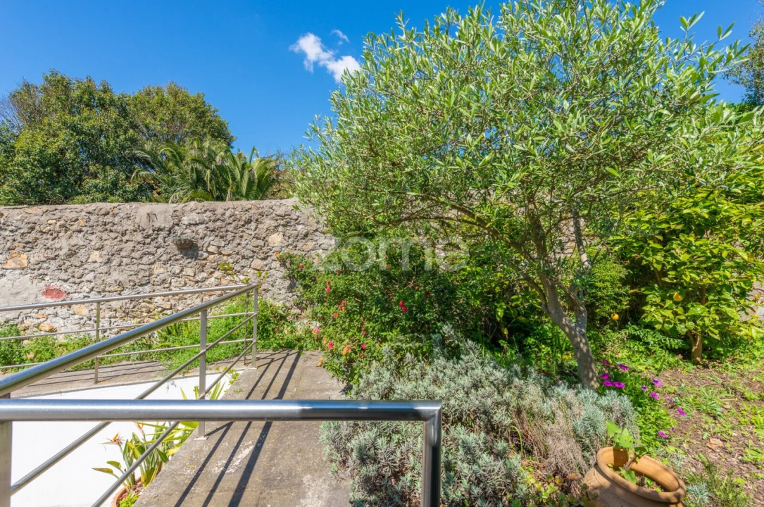 Moradia T4 para Arrendamento em Aldoar, Foz do Douro e Nevogilde Foto 39