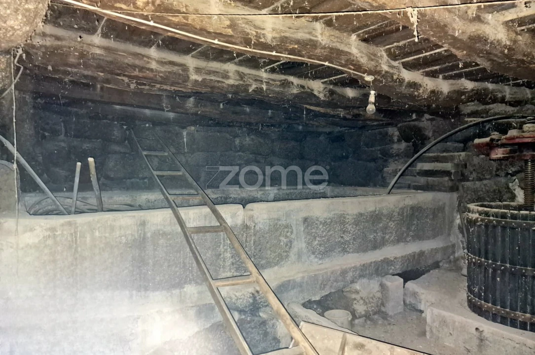 Moradia T3 para Venda em Britelo, Gémeos e Ourilhe Foto 16