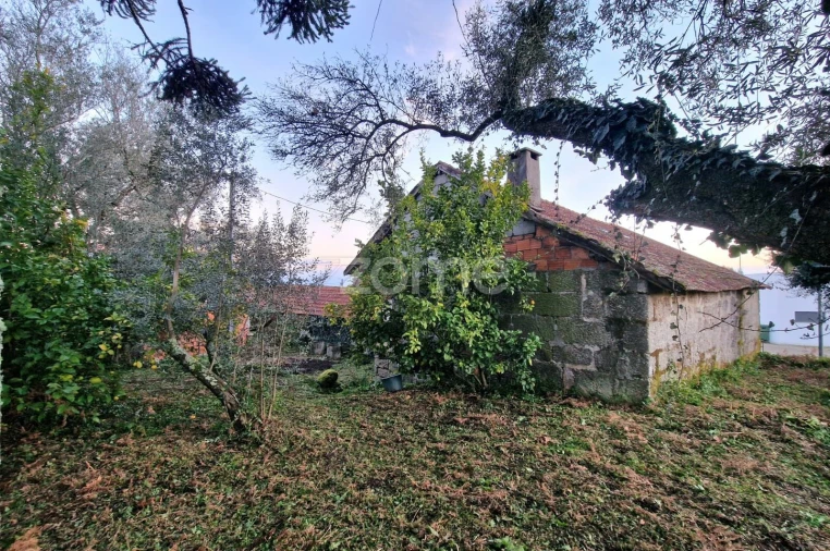 Moradia T3 para Venda em Britelo, Gémeos e Ourilhe Foto 18