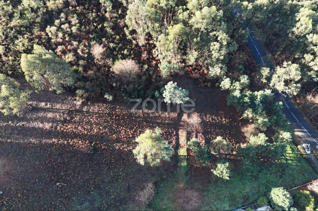 Terreno para Venda em Galegos Foto 2