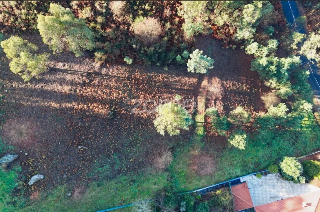Terreno para Venda em Galegos Foto 6