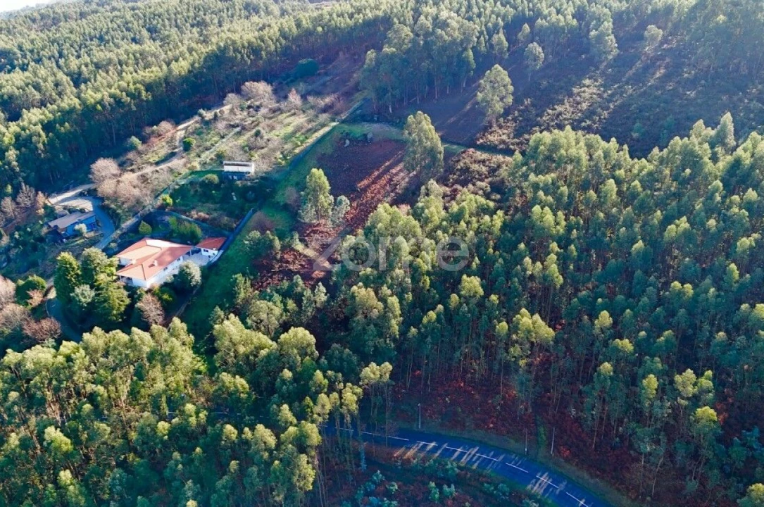 Terreno para Venda em Galegos Foto 8