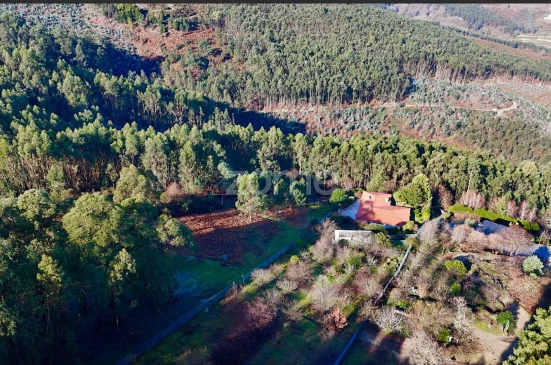 Terreno para Venda em Galegos Foto 10