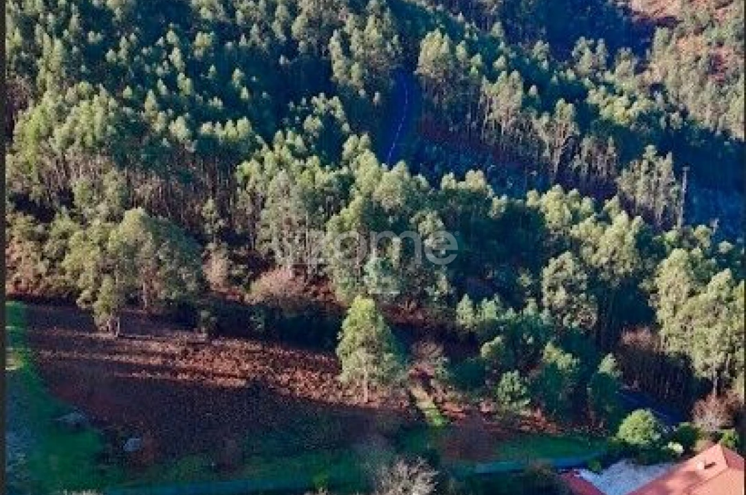 Terreno para Venda em Galegos Foto 11