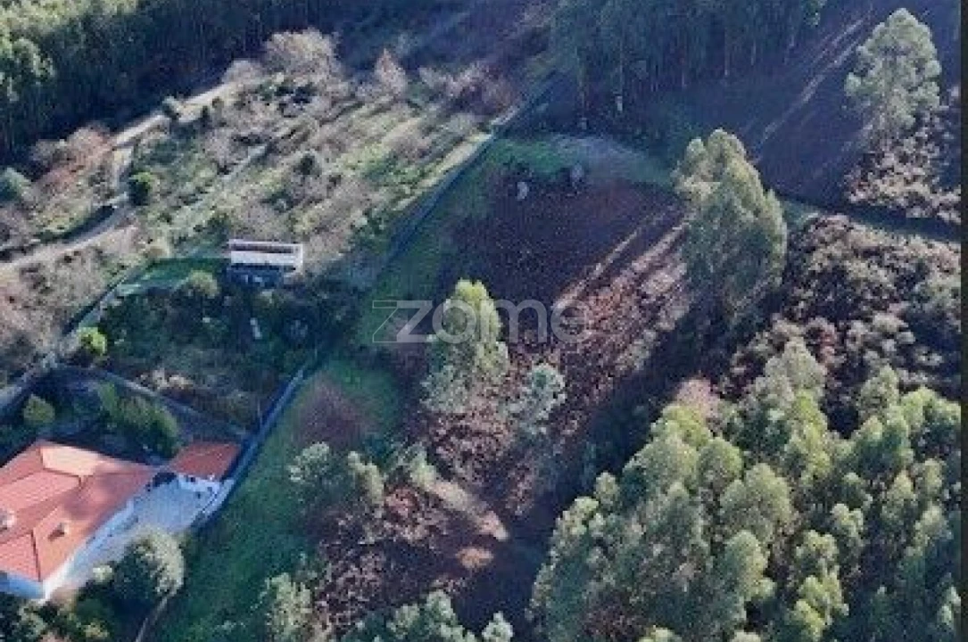 Terreno para Venda em Galegos Foto 12