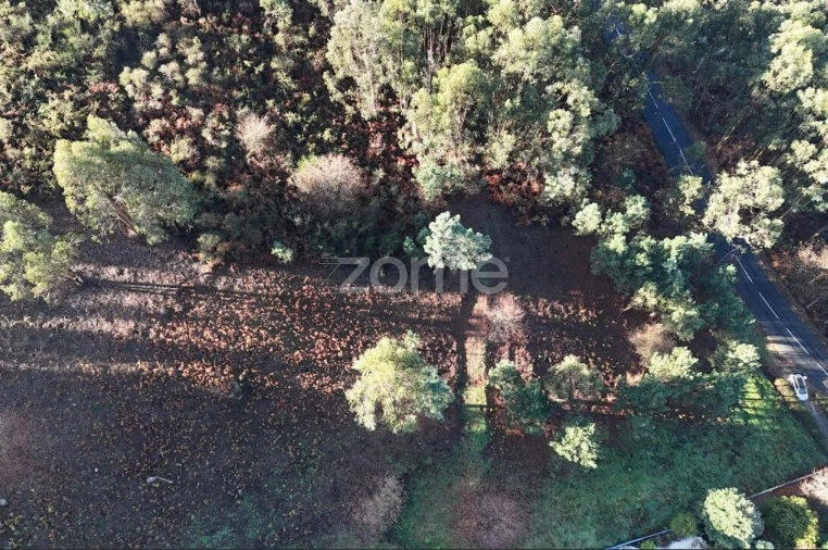 Terreno para Venda em Galegos Foto 2