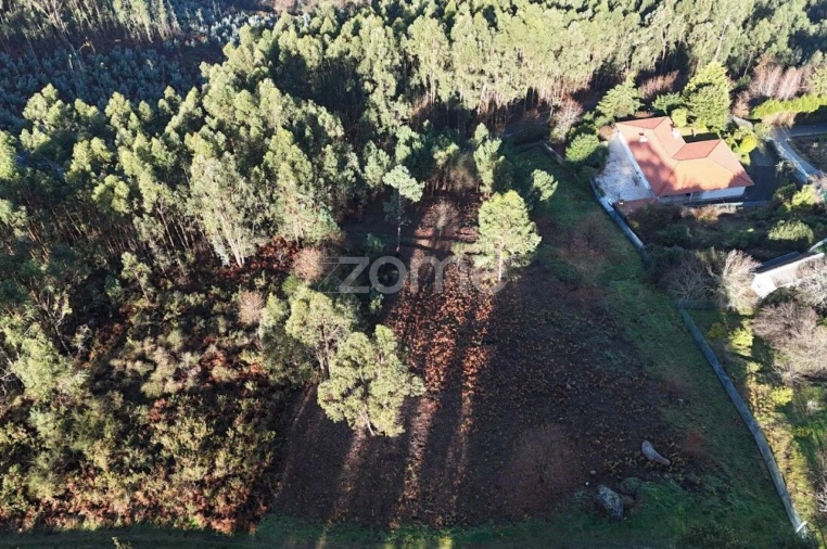 Terreno para Venda em Galegos Foto 3