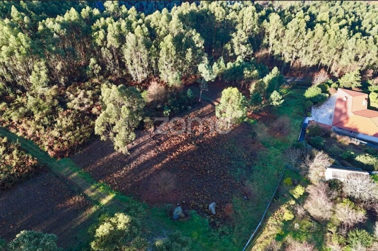 Terreno para Venda em Galegos Foto 4