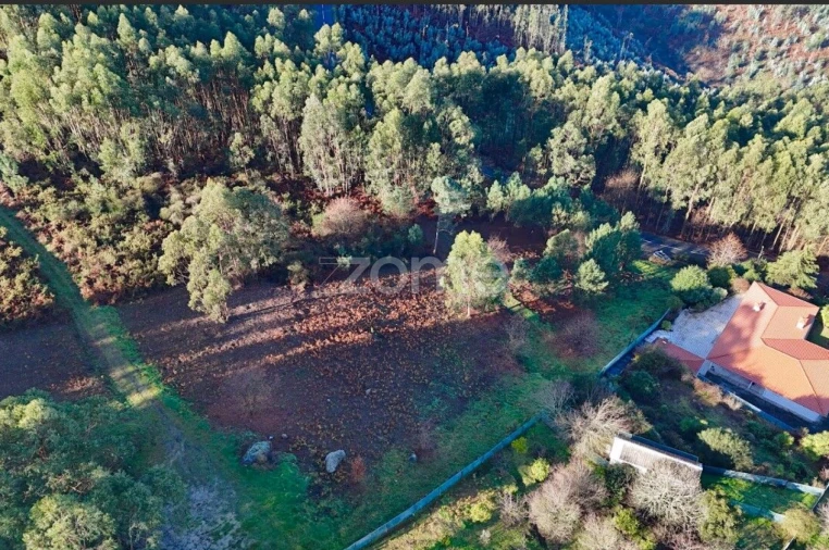 Terreno para Venda em Galegos Foto 5
