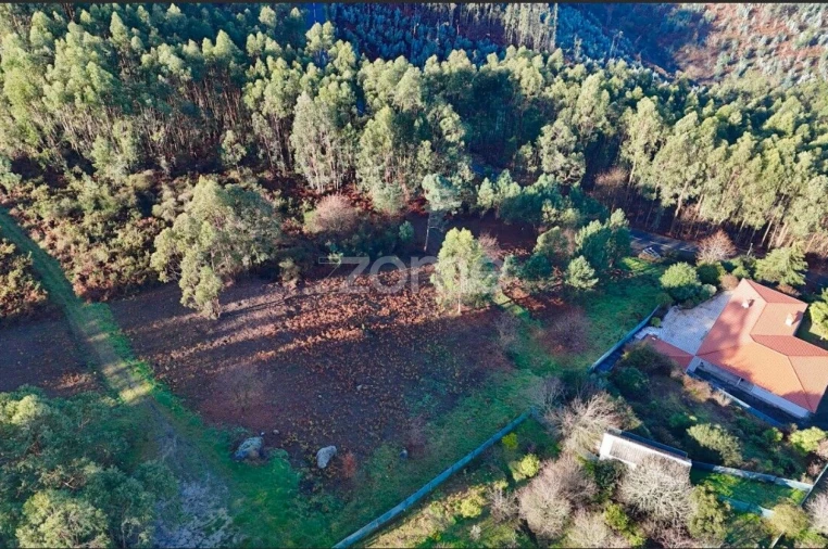 Terreno para Venda em Galegos Foto 1