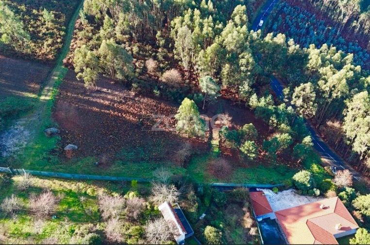 Terreno para Venda em Galegos Foto 7
