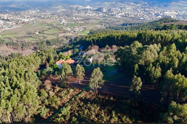 Terreno para Venda em Galegos Foto 9