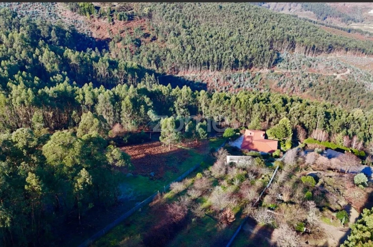 Terreno para Venda em Galegos Foto 10