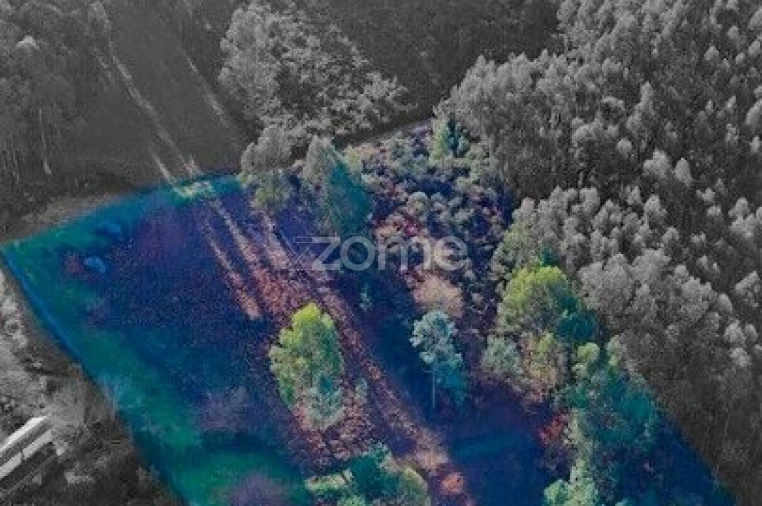 Terreno para Venda em Galegos Foto 13