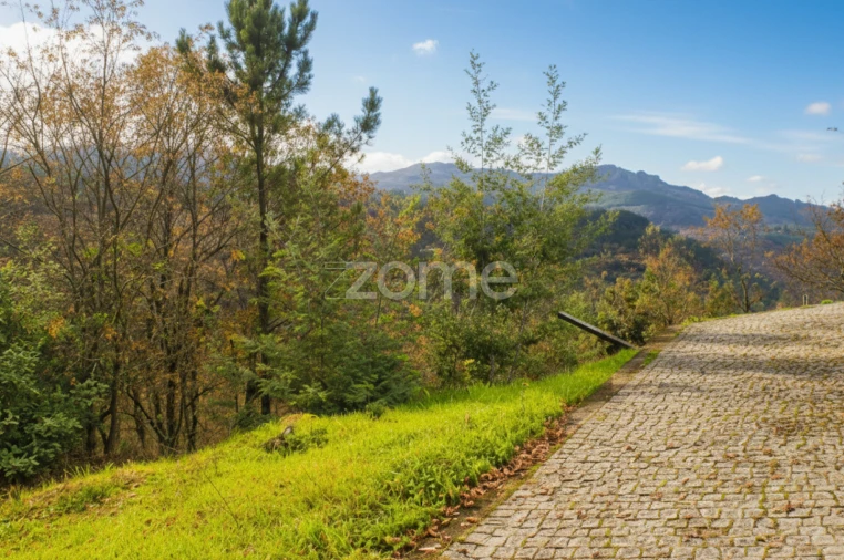 Moradia T3 para Venda em Salamonde Foto 17