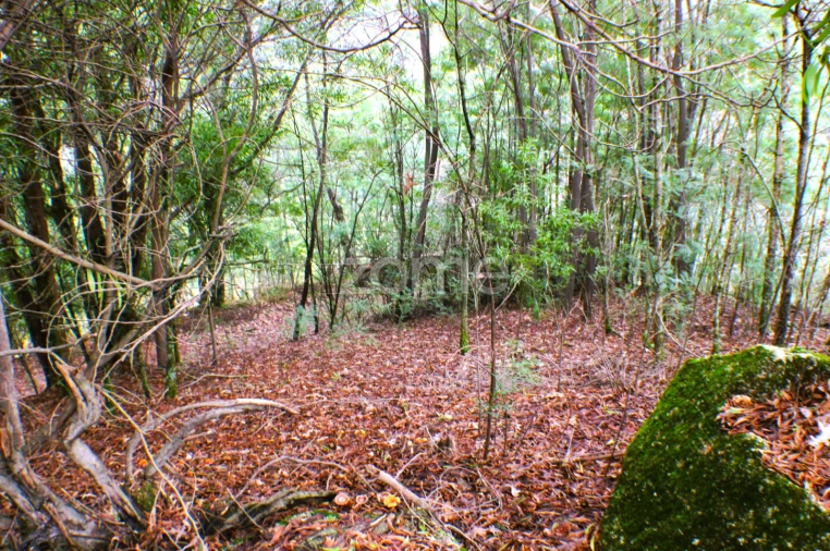 Moradia T3 para Venda em Salamonde Foto 19