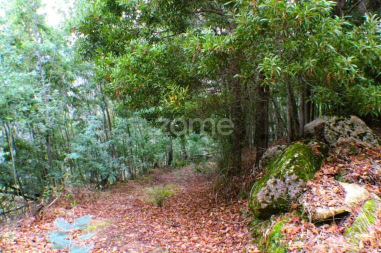 Moradia T3 para Venda em Salamonde Foto 18