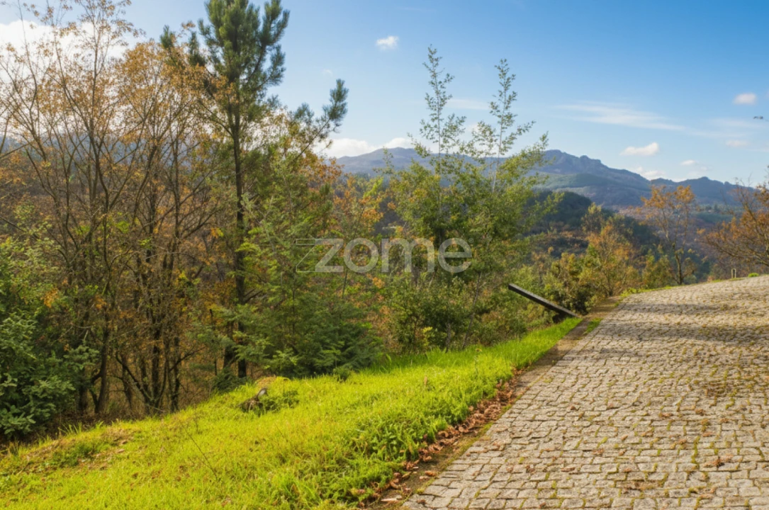 Moradia T3 para Venda em Salamonde Foto 17