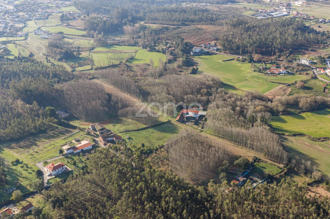 Quinta T9 para Venda em Santa Maria da Feira, Travanca, Sanfins e Espargo Foto 42