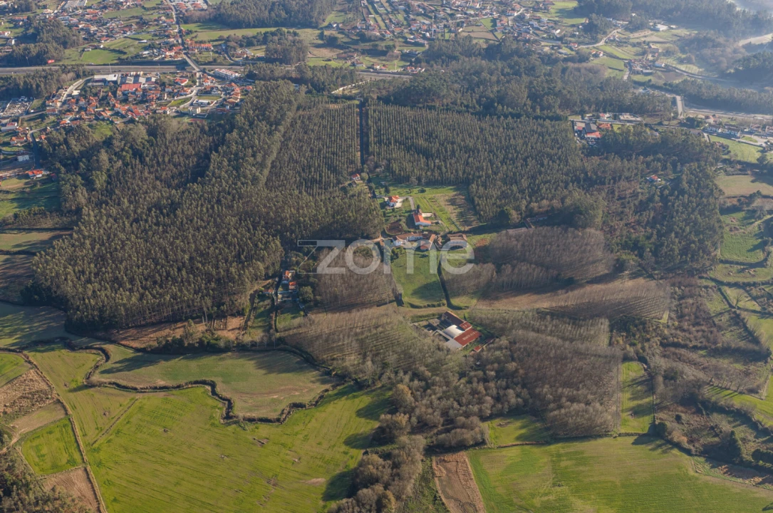 Quinta T9 para Venda em Santa Maria da Feira, Travanca, Sanfins e Espargo Foto 44