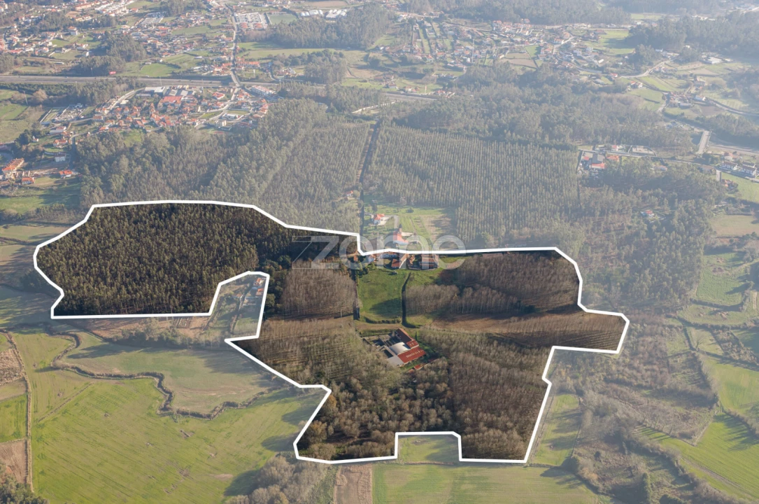 Quinta T9 para Venda em Santa Maria da Feira, Travanca, Sanfins e Espargo Foto 4