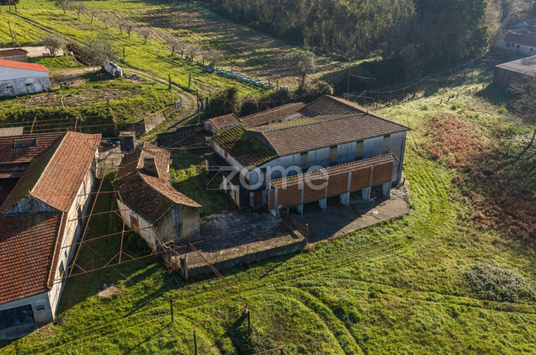 Quinta T9 para Venda em Santa Maria da Feira, Travanca, Sanfins e Espargo Foto 39