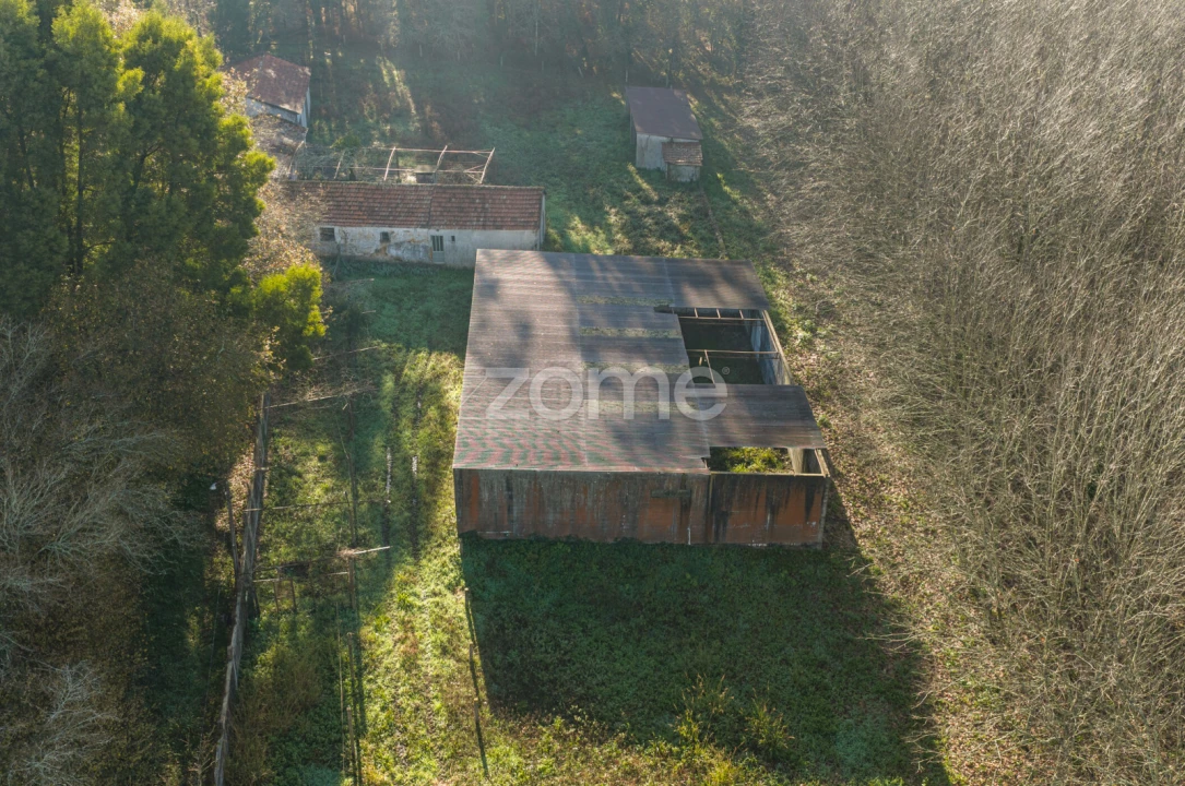 Quinta T9 para Venda em Santa Maria da Feira, Travanca, Sanfins e Espargo Foto 36